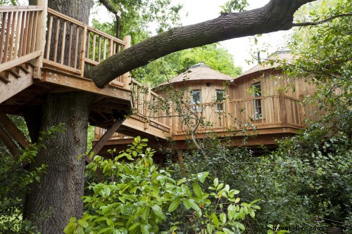 Hidupkan Kembali Impian Masa Kecil Anda di Hotel Rumah Pohon ini 